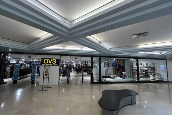OVS (1)